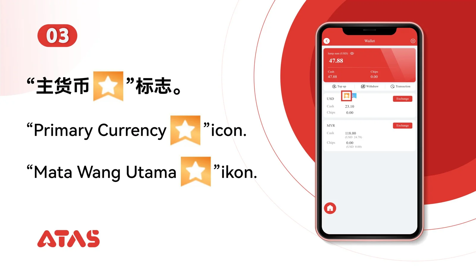 Adjust Primary & Billing Currency — Step 4